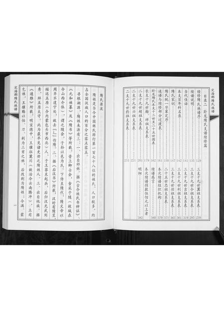 山东隋氏-定海郡隋氏族谱.pdf电子版预览图3