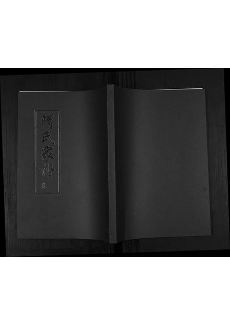 山东隋氏-隋氏家谱[2卷].pdf电子版缩略图