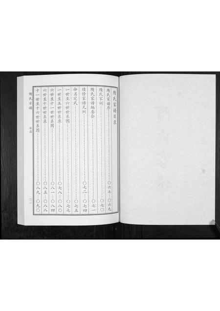 山东隋氏-隋氏家谱[2卷].pdf电子版预览图2