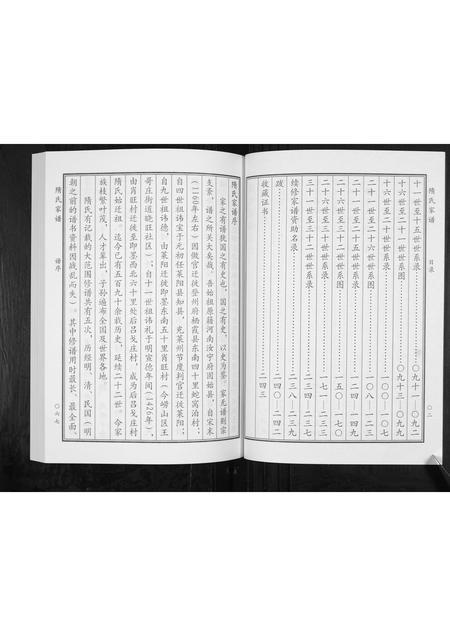 山东隋氏-隋氏家谱[2卷].pdf电子版预览图3