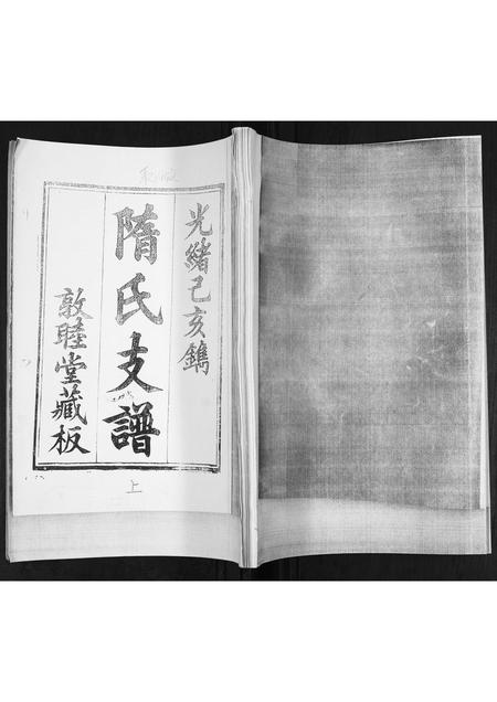 山东隋氏-隋氏支谱.pdf电子版
