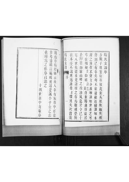 山东隋氏-隋氏支谱.pdf电子版预览图5