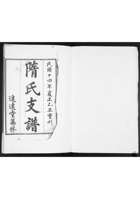 山东隋氏-隋氏支谱.pdf电子版预览图1