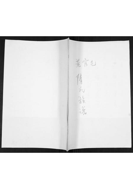 山东隋氏-隋氏族谱.pdf电子版