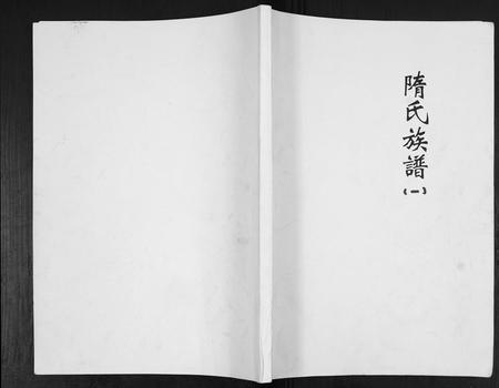 山东隋氏-隋氏族谱[12卷].pdf电子版