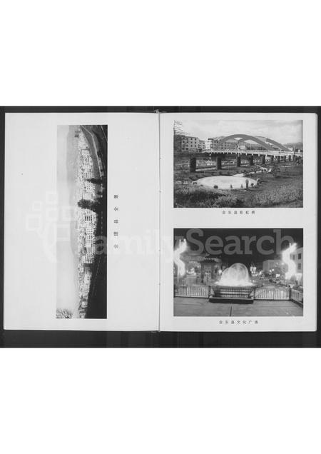 四川孙氏-乐安堂会川孙氏族谱 [不分卷].pdf电子版预览图5