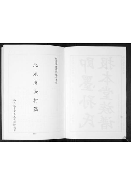 山东孙氏-即墨孙氏报本堂族谱[2卷].pdf电子版预览图2
