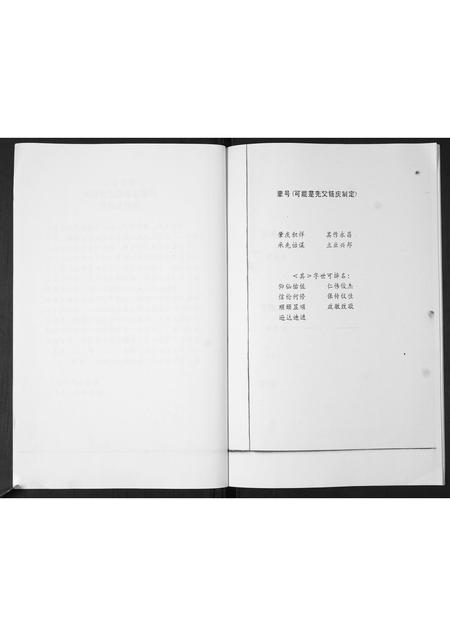 山东孙氏-后家屯孙氏家族谱系.pdf电子版预览图3