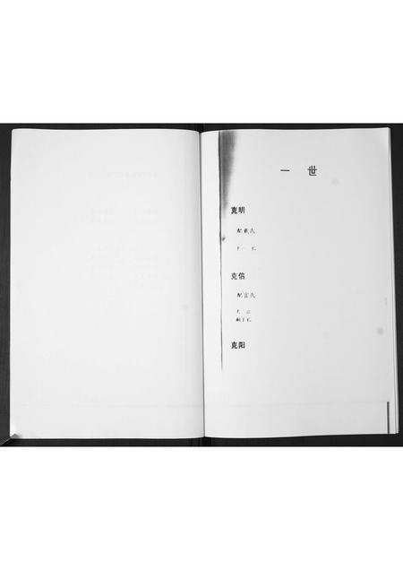 山东孙氏-后家屯孙氏家族谱系.pdf电子版预览图4