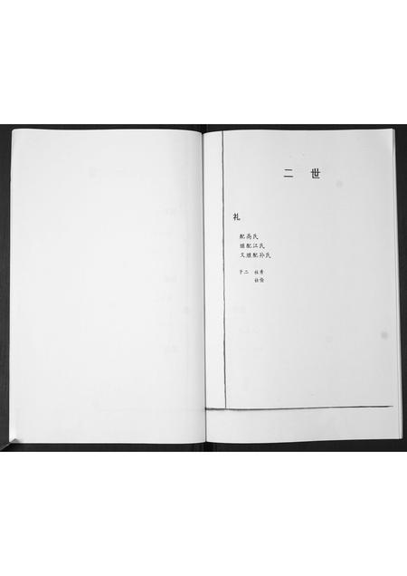 山东孙氏-后家屯孙氏家族谱系.pdf电子版预览图5