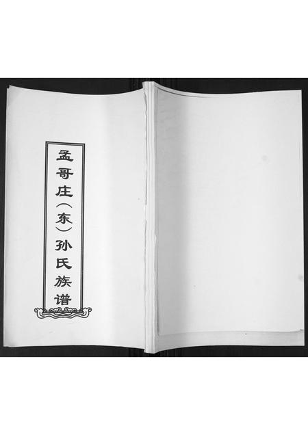 山东孙氏-孟戈庄(东)孙氏族谱[不分卷].pdf电子版缩略图