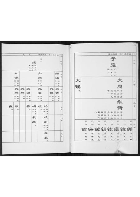 山东孙氏-孟戈庄(东)孙氏族谱[不分卷].pdf电子版预览图2