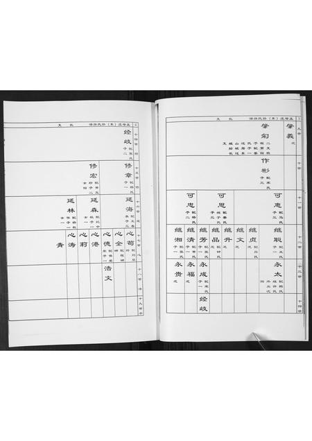 山东孙氏-孟戈庄(东)孙氏族谱[不分卷].pdf电子版预览图3