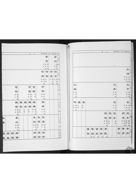 山东孙氏-孟戈庄(东)孙氏族谱[不分卷].pdf电子版预览图5