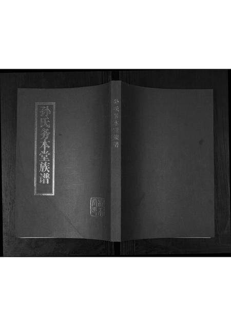 山东孙氏-孙氏务本堂族谱[不分卷].pdf电子版缩略图