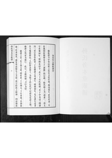 山东孙氏-孙氏务本堂族谱[不分卷].pdf电子版预览图2