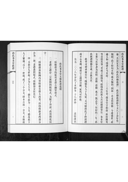 山东孙氏-孙氏务本堂族谱[不分卷].pdf电子版预览图4