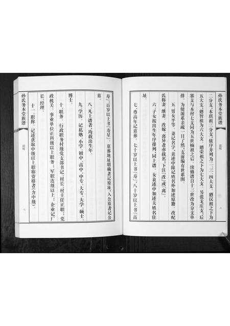 山东孙氏-孙氏务本堂族谱[不分卷].pdf电子版预览图5