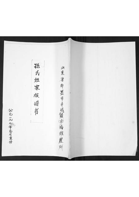 山东孙氏-孙氏姓家族谱书[不分卷].pdf电子版缩略图
