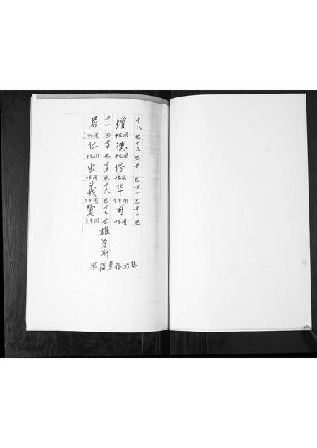 山东孙氏-孙氏姓家族谱书[不分卷].pdf电子版预览图1