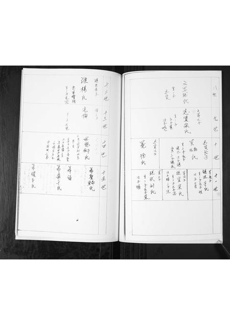 山东孙氏-孙氏姓家族谱书[不分卷].pdf电子版预览图5