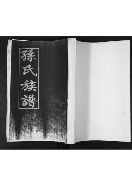 山东孙氏-孙氏家谱.pdf电子版缩略图