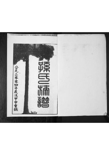 山东孙氏-孙氏家谱.pdf电子版预览图1