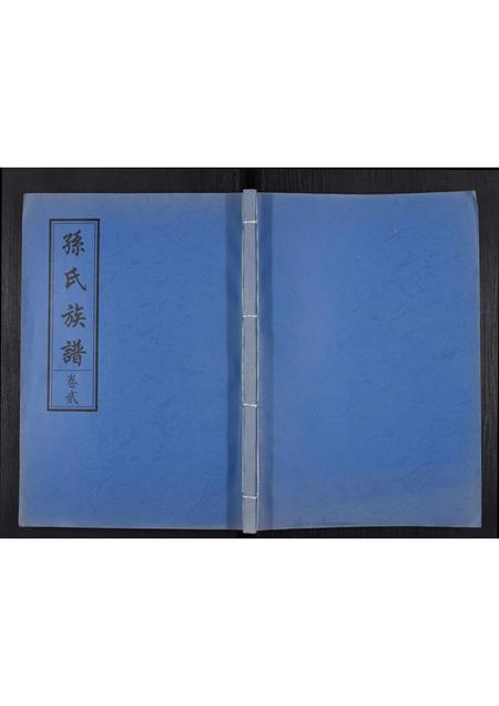 山东孙氏-孙氏家谱.pdf电子版缩略图