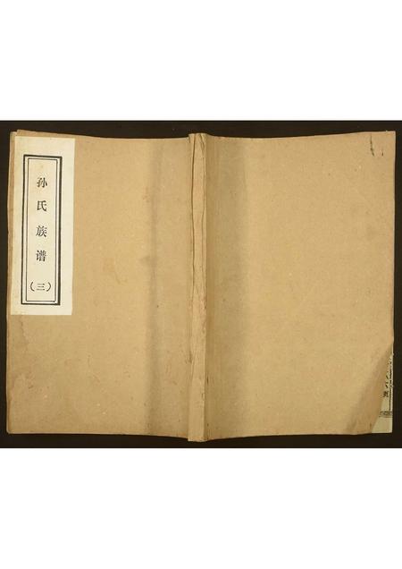 山东孙氏-孙氏家谱.pdf电子版缩略图