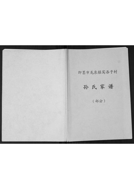 山东孙氏-孙氏家谱(部分).pdf电子版缩略图