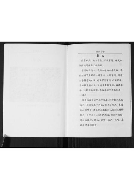 山东孙氏-孙氏家谱(部分).pdf电子版预览图4