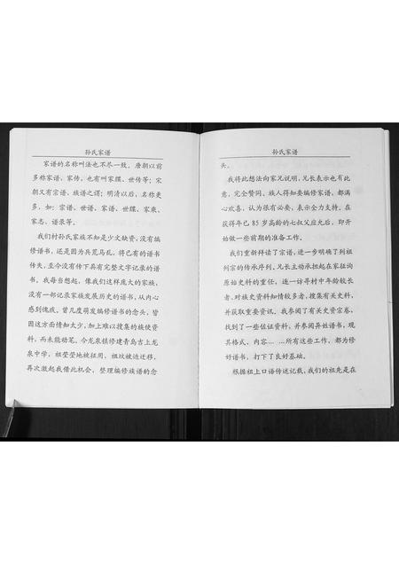 山东孙氏-孙氏家谱(部分).pdf电子版预览图5