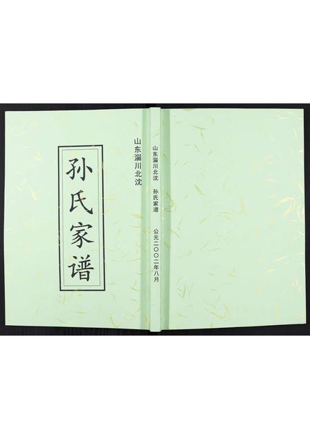 山东孙氏-孙氏家谱[不分卷].pdf电子版缩略图