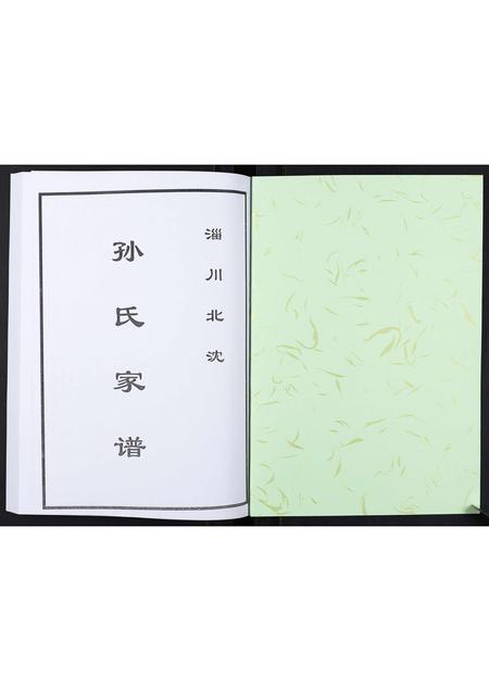 山东孙氏-孙氏家谱[不分卷].pdf电子版预览图1