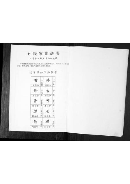 山东孙氏-孙氏家谱谱书[不分卷].pdf电子版预览图1