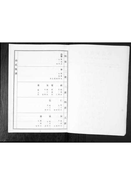 山东孙氏-孙氏家谱谱书[不分卷].pdf电子版预览图2