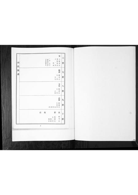 山东孙氏-孙氏家谱谱书[不分卷].pdf电子版预览图3