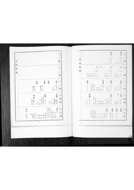 山东孙氏-孙氏家谱谱书[不分卷].pdf电子版预览图4