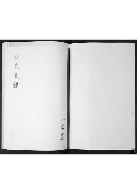 山东孙氏-孙氏支谱.pdf电子版预览图1