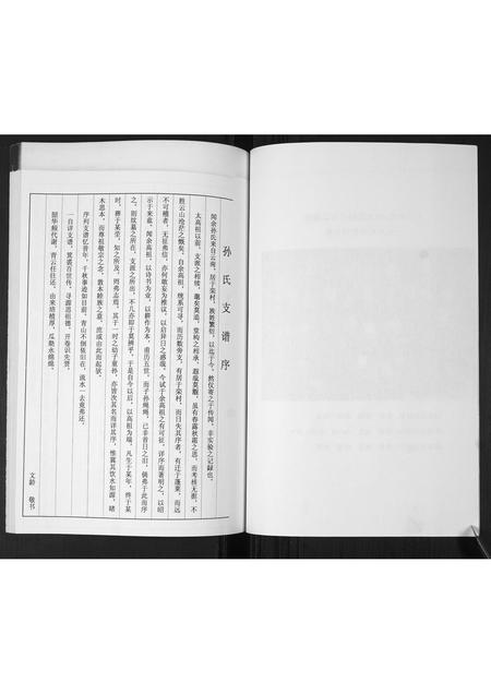 山东孙氏-孙氏支谱.pdf电子版预览图5