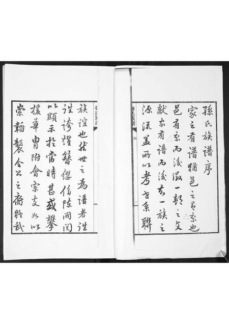 山东孙氏-孙氏支谱[2卷].pdf电子版预览图2