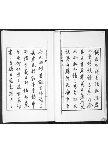 山东孙氏-孙氏支谱[2卷].pdf电子版预览图4