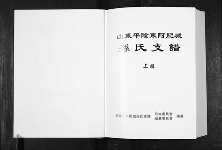山东孙氏-孙氏支谱[上下辑].pdf电子版预览图2