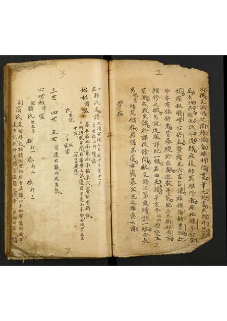 山东孙氏-孙氏支谱续志.pdf电子版预览图1