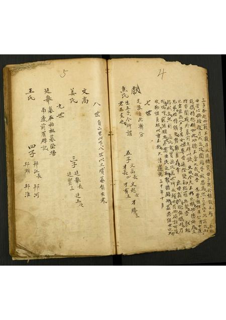 山东孙氏-孙氏支谱续志.pdf电子版预览图2