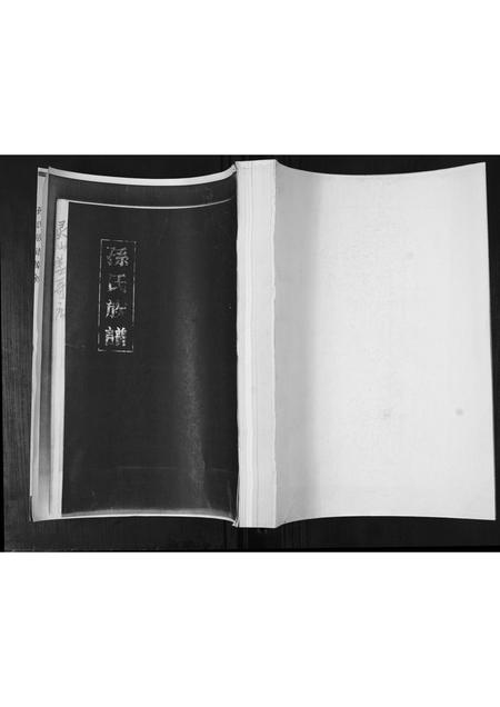 山东孙氏-孙氏族谱.pdf电子版缩略图