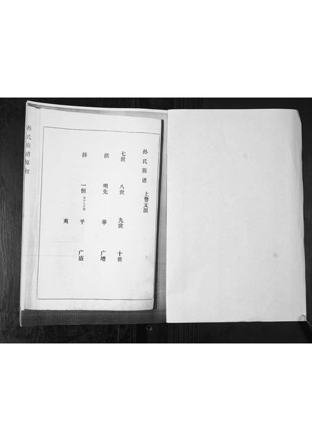 山东孙氏-孙氏族谱.pdf电子版预览图1