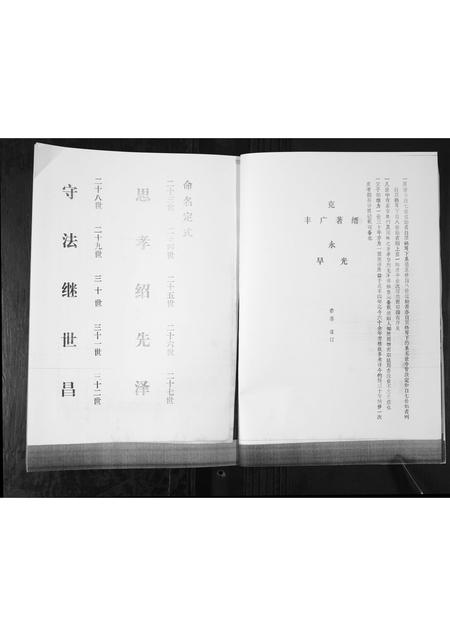 山东孙氏-孙氏族谱.pdf电子版预览图5