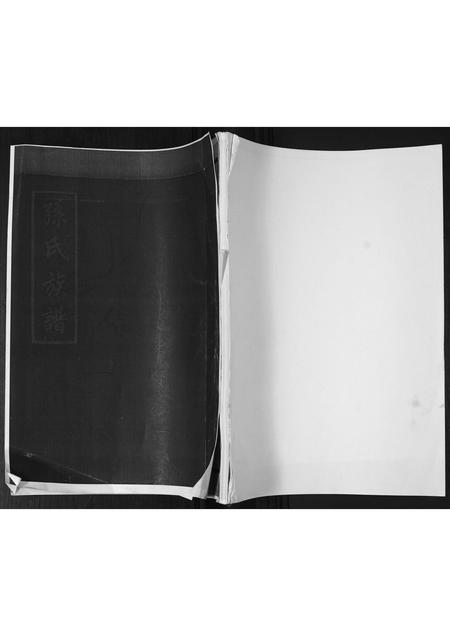 山东孙氏-孙氏族谱.pdf电子版缩略图