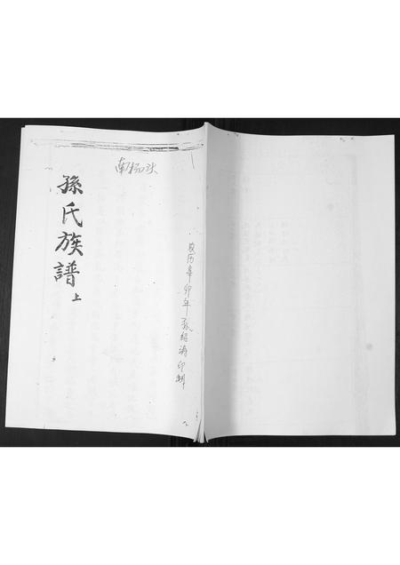 山东孙氏-孙氏族谱.pdf电子版缩略图